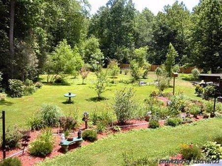 Rock Laurel Bed And Breakfast Candler Facilidades foto